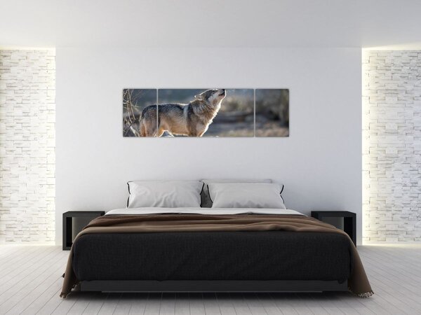 Obraz - Wyjący Wilk (170x50 cm)