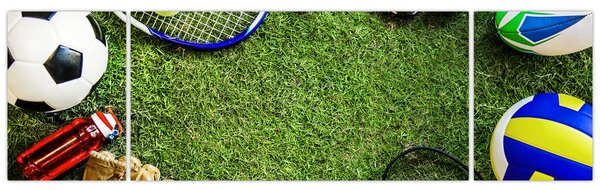 Obraz - Sport (170x50 cm)