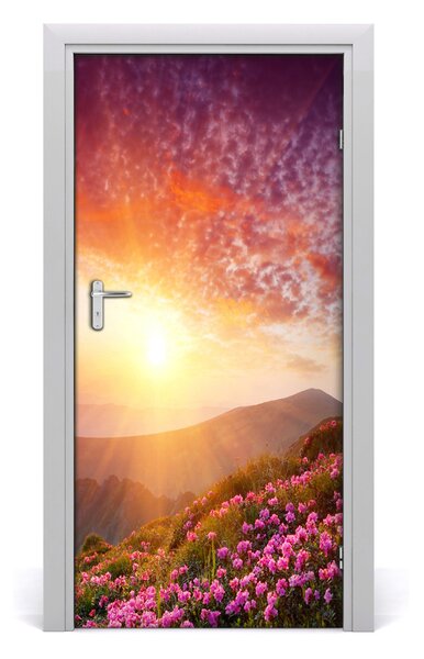 Naklejka fototapeta na drzwi Wiosna w górach