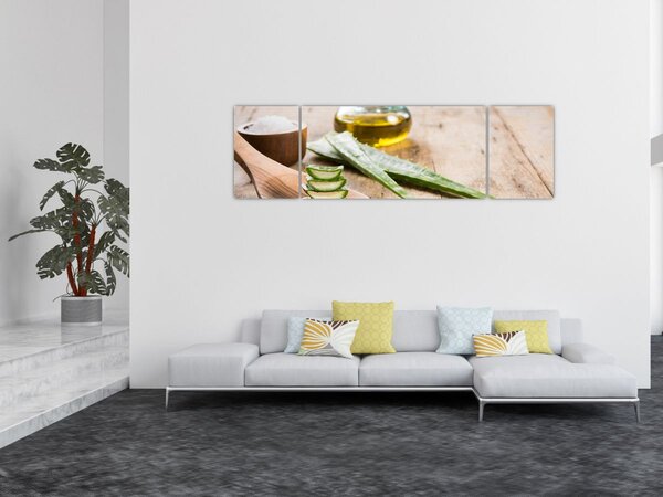Obraz - Aloes (170x50 cm)