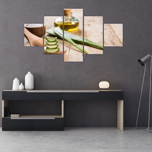 Obraz - Aloes (125x70 cm)