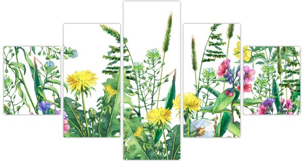 Obraz - Malowane kwiaty łąkowe (125x70 cm)