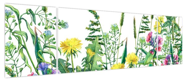 Obraz - Malowane kwiaty łąkowe (170x50 cm)