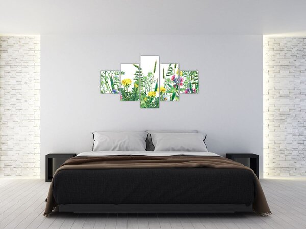 Obraz - Malowane kwiaty łąkowe (125x70 cm)
