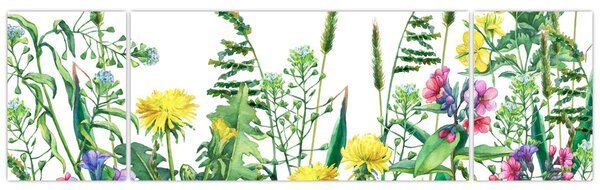 Obraz - Malowane kwiaty łąkowe (170x50 cm)