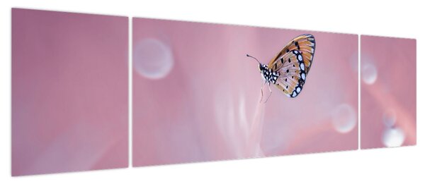 Obraz - Motyl (170x50 cm)