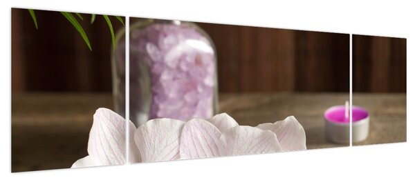 Obraz - Świeca i orchidee (170x50 cm)