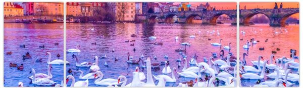 Obraz - Praga (170x50 cm)