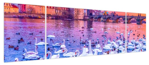 Obraz - Praga (170x50 cm)