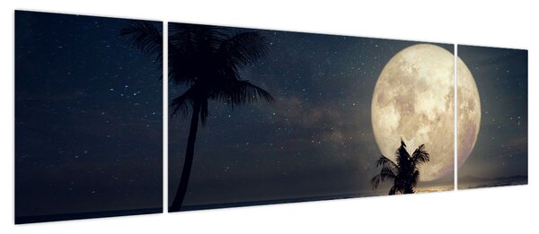 Obraz - Plaża przy pełni księżyca (170x50 cm)