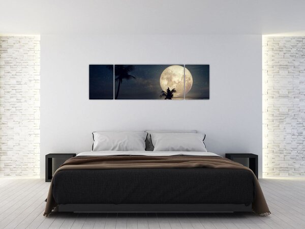 Obraz - Plaża przy pełni księżyca (170x50 cm)