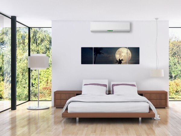 Obraz - Plaża przy pełni księżyca (170x50 cm)