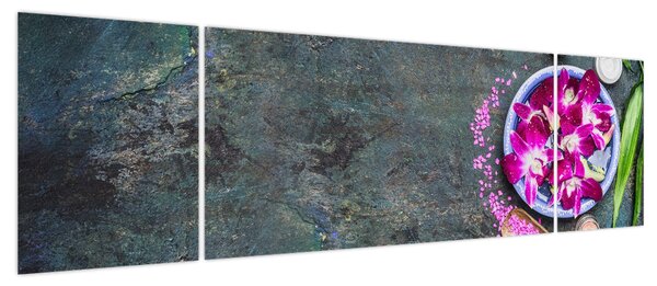 Obraz - Wellness (170x50 cm)