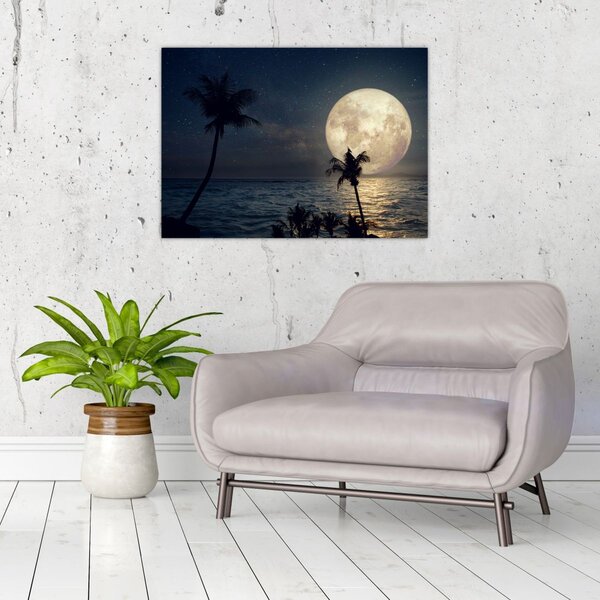 Obraz - Plaża przy pełni księżyca (70x50 cm)