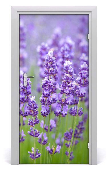 Nalepka Naklejka fototapeta na drzwi Pole lawendy