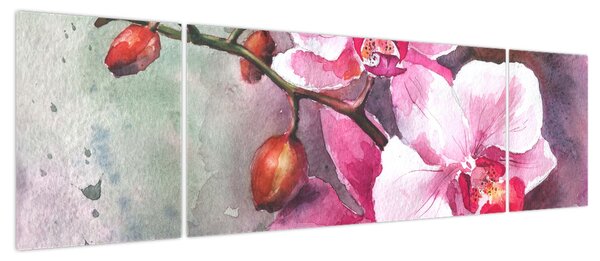 Obraz - Orchidee, akwarela (170x50 cm)