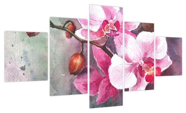 Obraz - Orchidee, akwarela (125x70 cm)