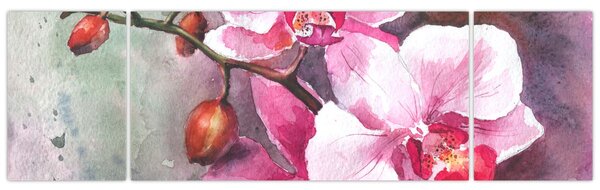 Obraz - Orchidee, akwarela (170x50 cm)