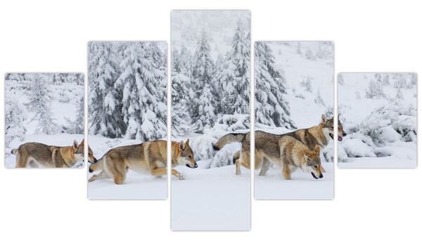 Obraz - Wilki w górach (125x70 cm)