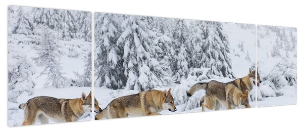 Obraz - Wilki w górach (170x50 cm)