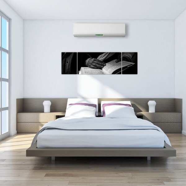Obraz - Książka (170x50 cm)