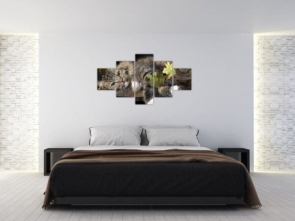 Obraz - Leżący kot (125x70 cm)