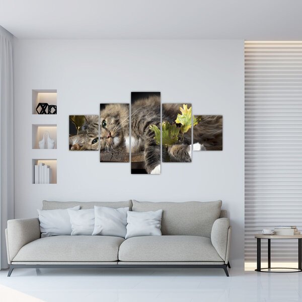 Obraz - Leżący kot (125x70 cm)