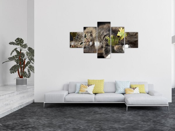 Obraz - Leżący kot (125x70 cm)