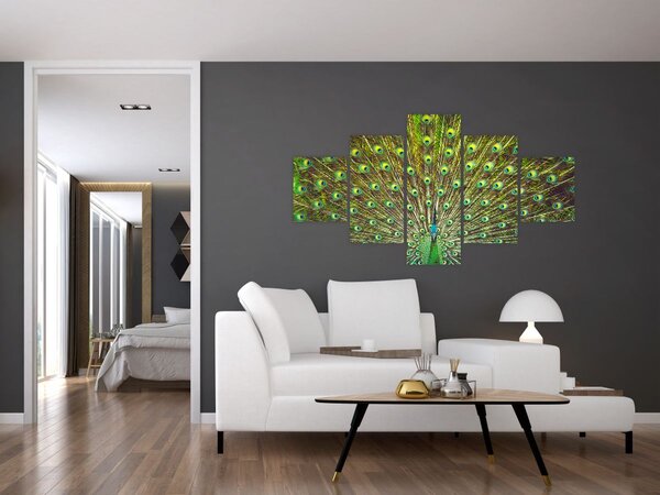 Obraz - Paw (125x70 cm)