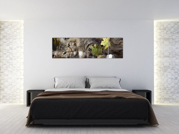 Obraz - Leżący kot (170x50 cm)