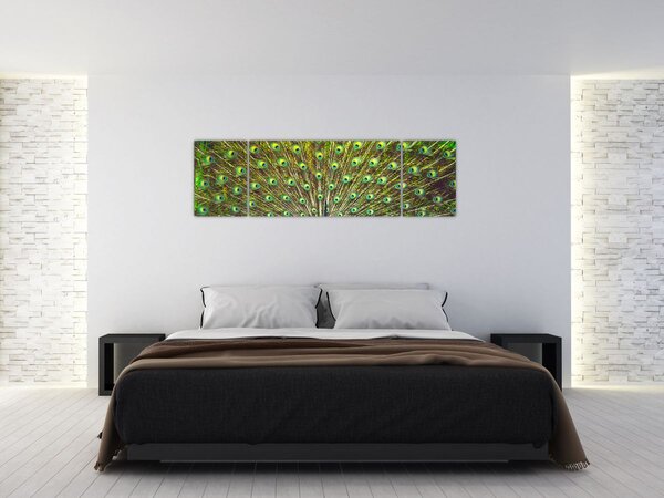 Obraz - Paw (170x50 cm)