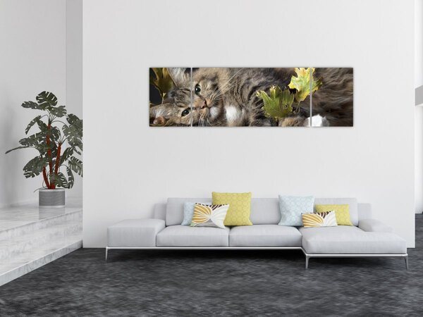 Obraz - Leżący kot (170x50 cm)