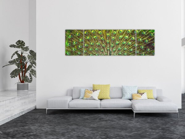 Obraz - Paw (170x50 cm)