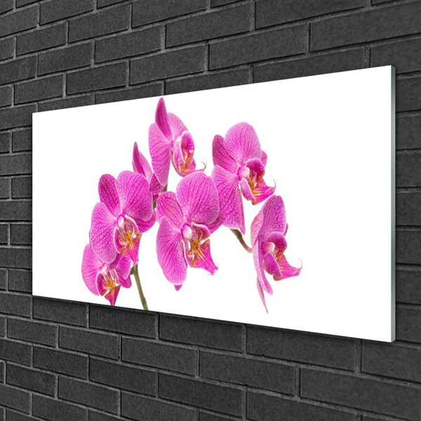 Obraz Szklany Orchidea Kwiaty Natura
