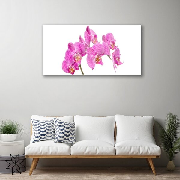 Obraz Szklany Orchidea Kwiaty Natura