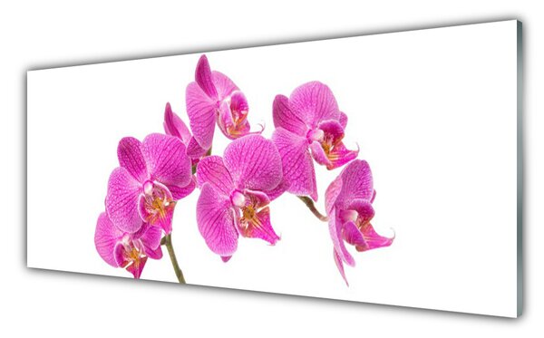 Obraz Szklany Orchidea Kwiaty Natura