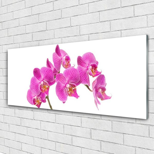 Obraz Szklany Orchidea Kwiaty Natura