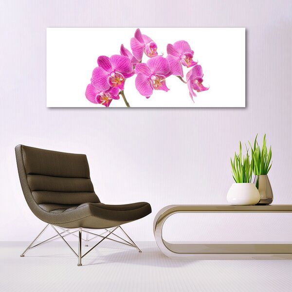 Obraz Szklany Orchidea Kwiaty Natura