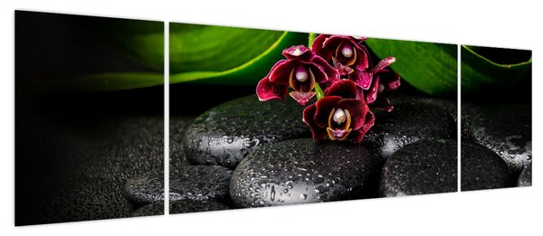 Obraz - Kamienie lawy (170x50 cm)
