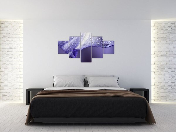 Obraz - Płatek z kroplami (125x70 cm)