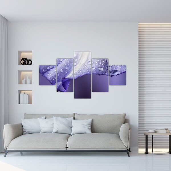 Obraz - Płatek z kroplami (125x70 cm)