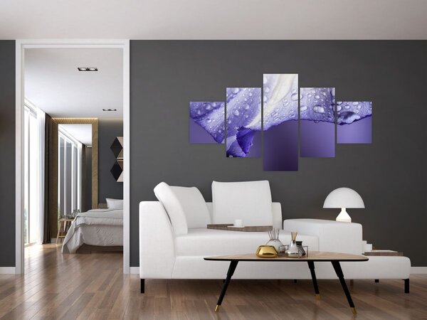 Obraz - Płatek z kroplami (125x70 cm)