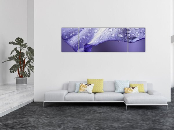 Obraz - Płatek z kroplami (170x50 cm)