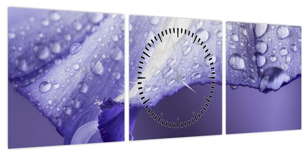 Obraz - Płatek z kroplami (z zegarem) (90x30 cm)