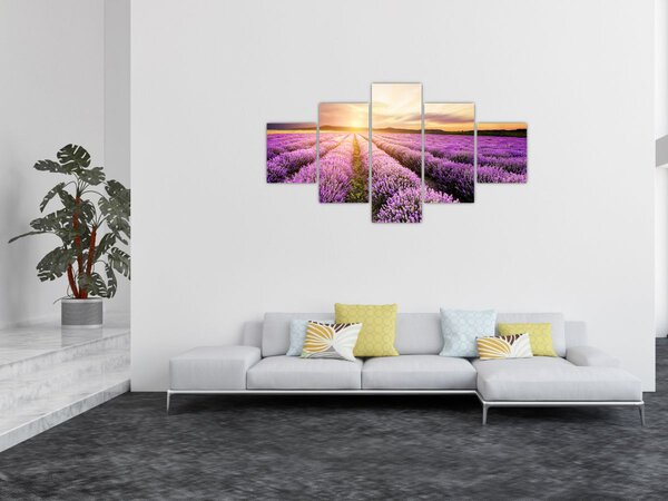 Obraz - Wschód słońca na polu lawendy (125x70 cm)