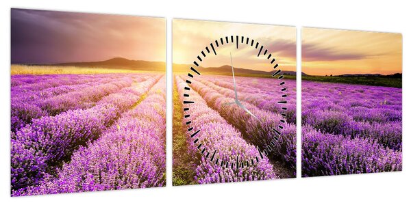 Obraz - Wschód słońca na polu lawendy (z zegarem) (90x30 cm)