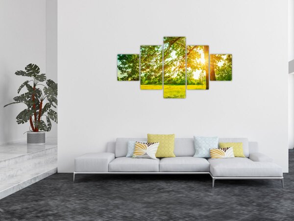 Obraz - Słoneczny Las (125x70 cm)