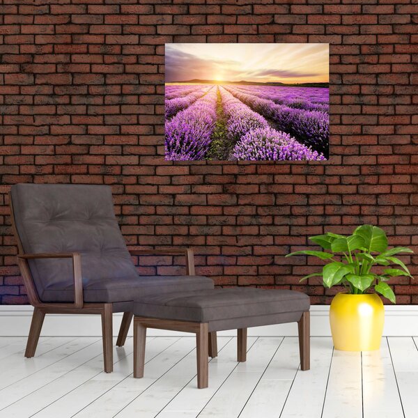 Obraz - Wschód słońca na polu lawendy (70x50 cm)