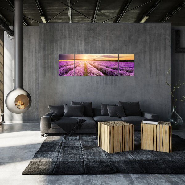Obraz - Wschód słońca na polu lawendy (170x50 cm)