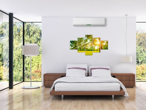 Obraz - Słoneczny Las (125x70 cm)